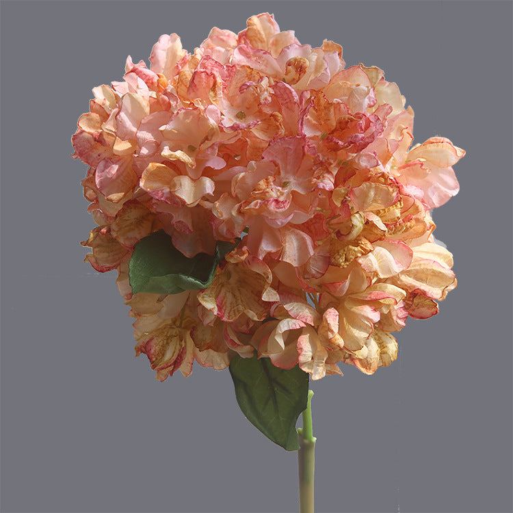 Vintage Burnt Edge Hydrangea 12pcs - 25.2in