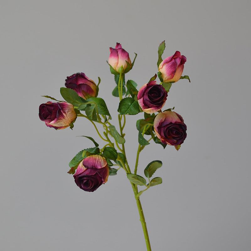 7 Vintage Roasted Edge Roses 12pcs - 19.7in