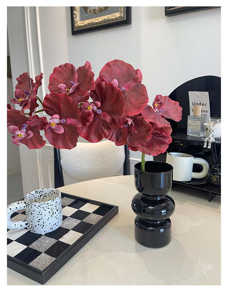 9 European-style Phalaenopsis Orchids