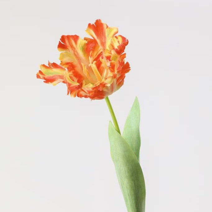 Artificial Flower Single Branch Parrot Tulip 3D Printed Toothed Fake Flower