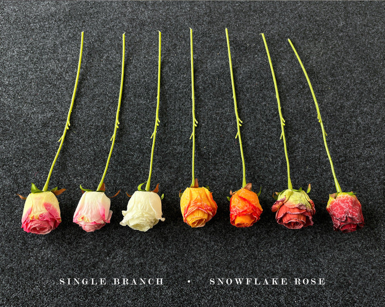 Imitation Dried Flower Baked Rose Artificial Flower Snow Rose