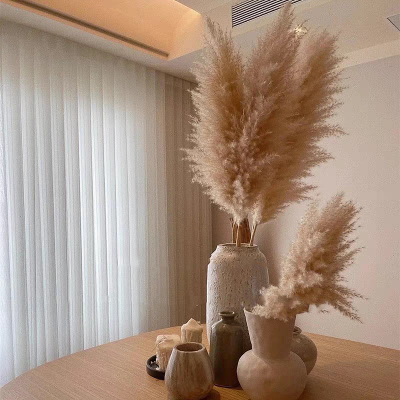 Large Reed Real Flower Dried Flower