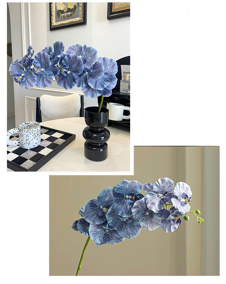 9 European-style Phalaenopsis Orchids