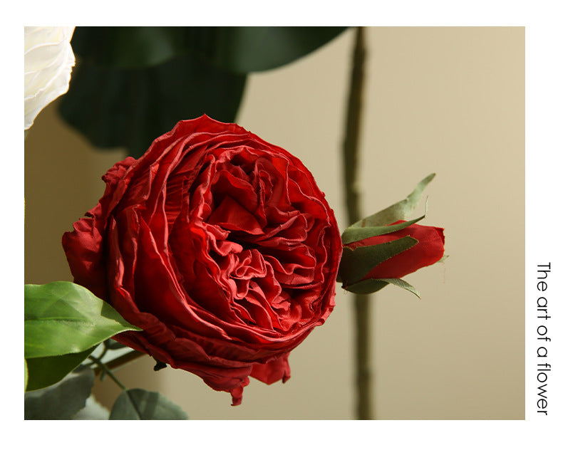 Two-Headed Austin Rose Artificial Flower Nordic Romantic Decoration