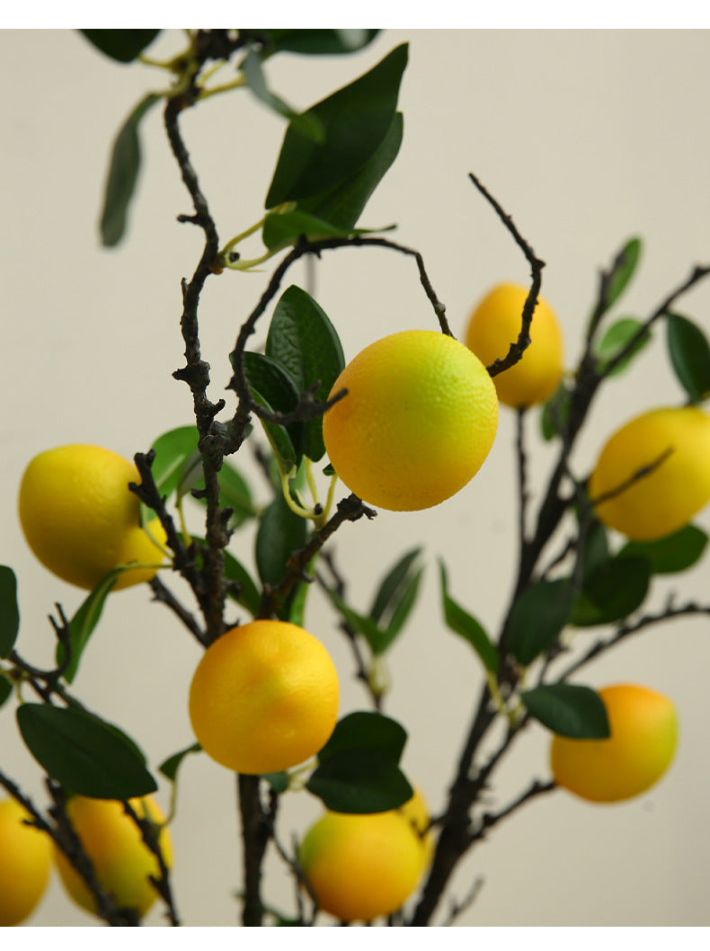 Simulated Large Branch Lemon