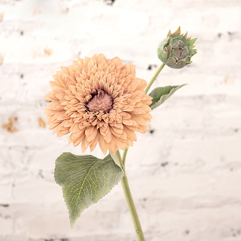 Teddy Bear Double Petal Sunflower 12pcs - 17.7in