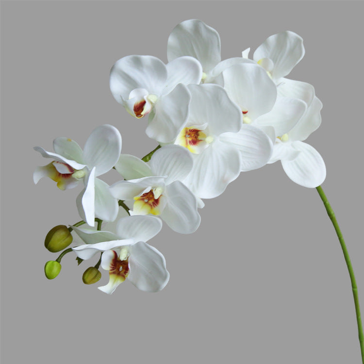 Artificial Flower 9-Head Phalaenopsis  Home Decoration Wedding Scenery Display  3D Printing