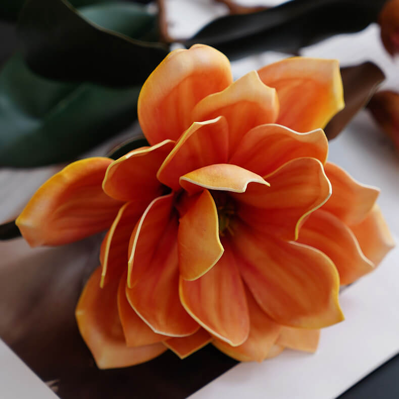 Magnolia with curled leaves 2pcs - 30inch