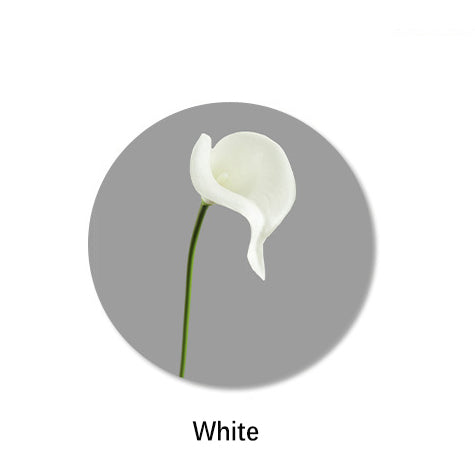 Single Branch Calla Lily 12pcs - 13.8in