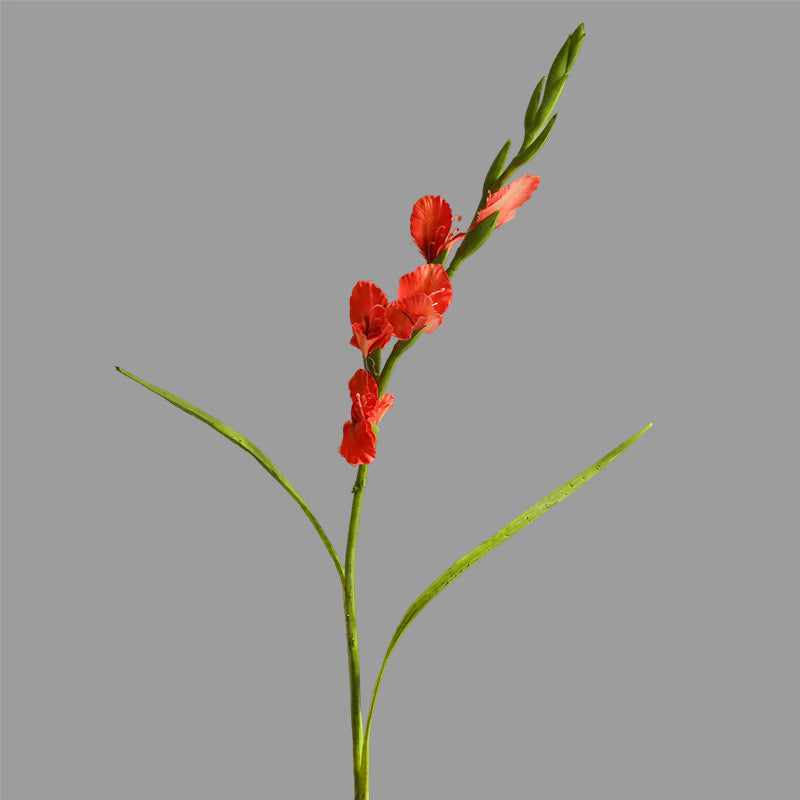 Single Branch Gladiolus 12pcs - 33.9in
