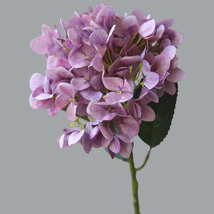 Simulated Snowflake Hydrangea 12pcs - 22.4in