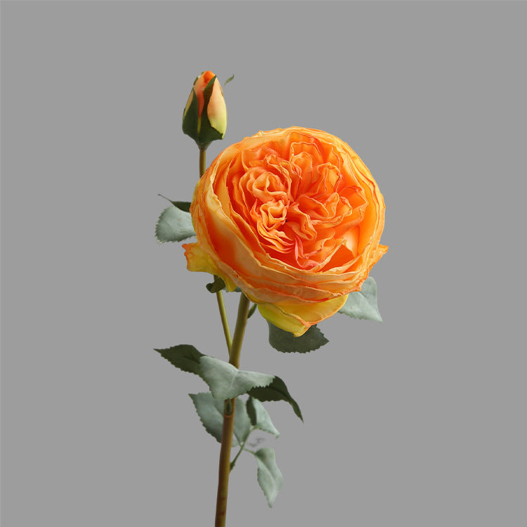 Two-Headed Austin Rose Artificial Flower Nordic Romantic Decoration