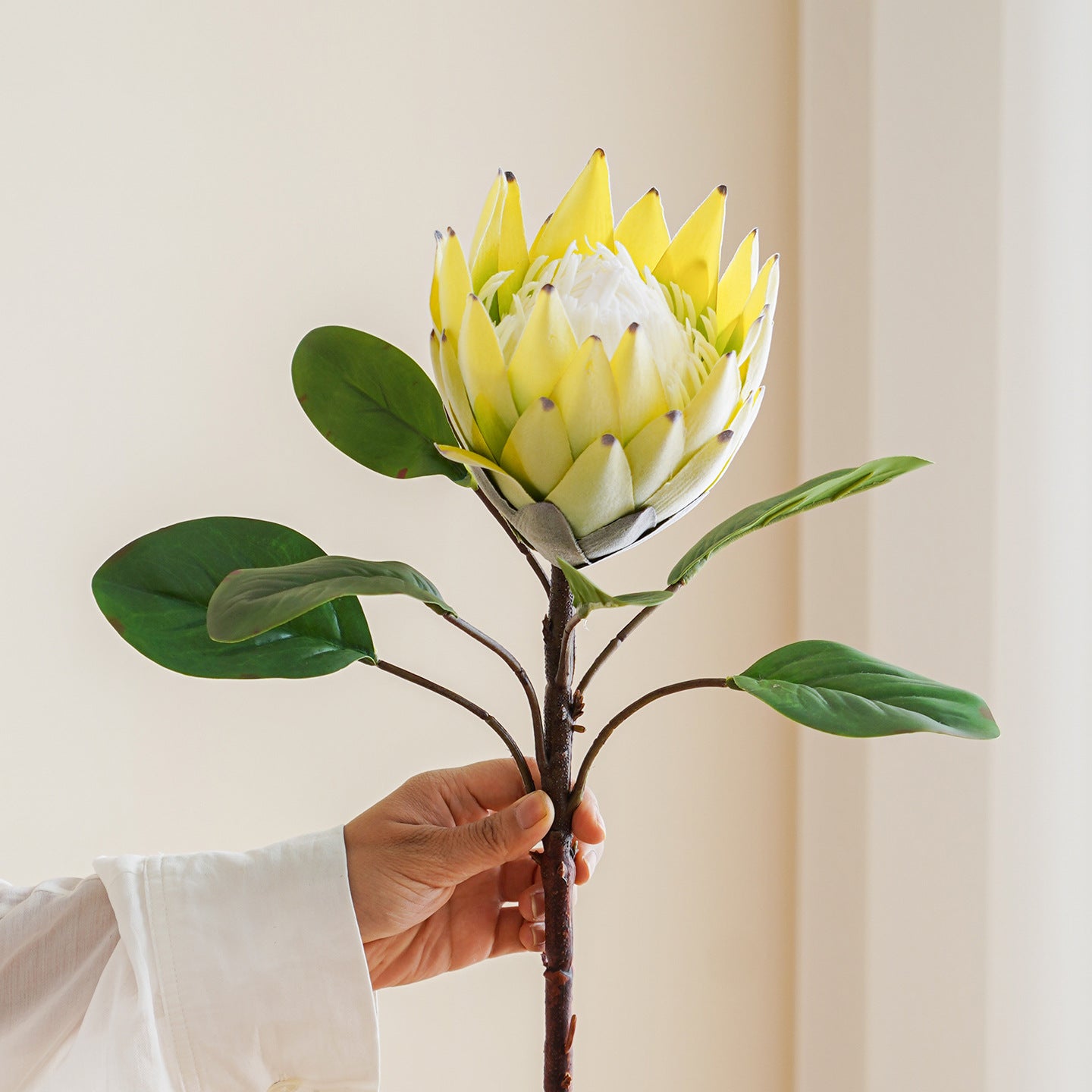 Large High-End Imitation Imperial Flower 1 pcs - 24.4"