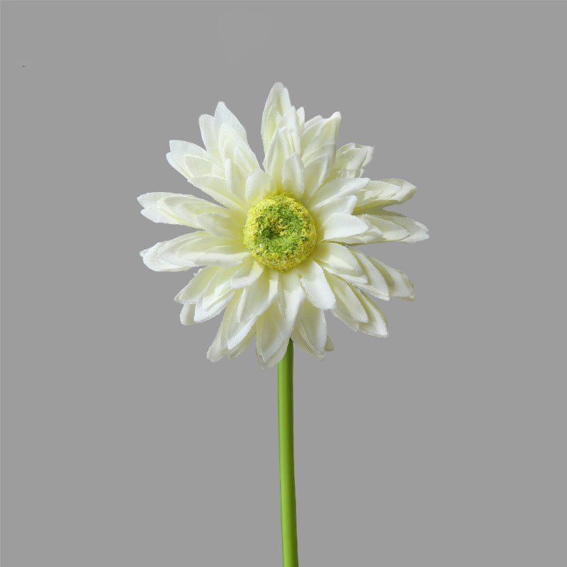 Single Branch Gerbera 12pcs - 16.5in