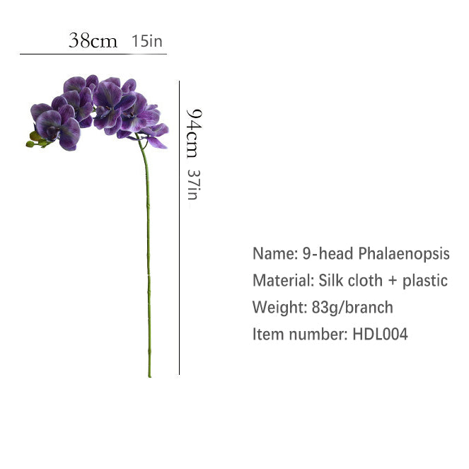 9-Head Phalaenopsis 12pcs - 37in