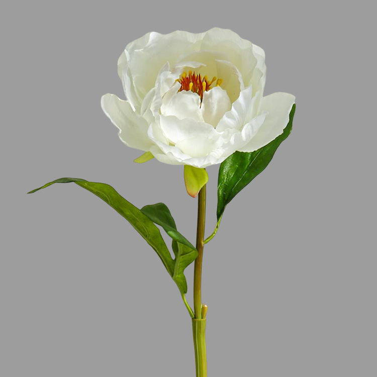 Single Branch Hibiscus Peony  12pcs - 17.7in