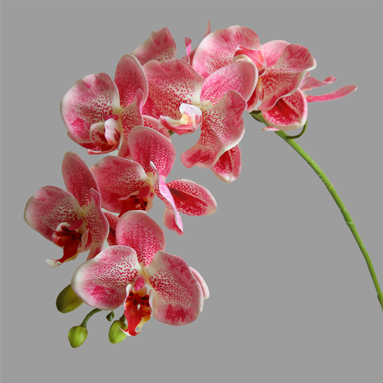 Artificial Flower 9-Head Phalaenopsis  Home Decoration Wedding Scenery Display  3D Printing