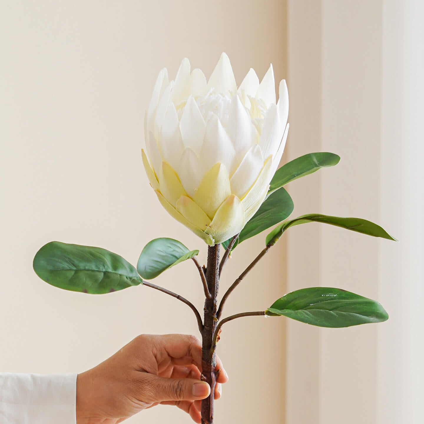 Large High-End Imitation Imperial Flower 1 pcs - 24.4"