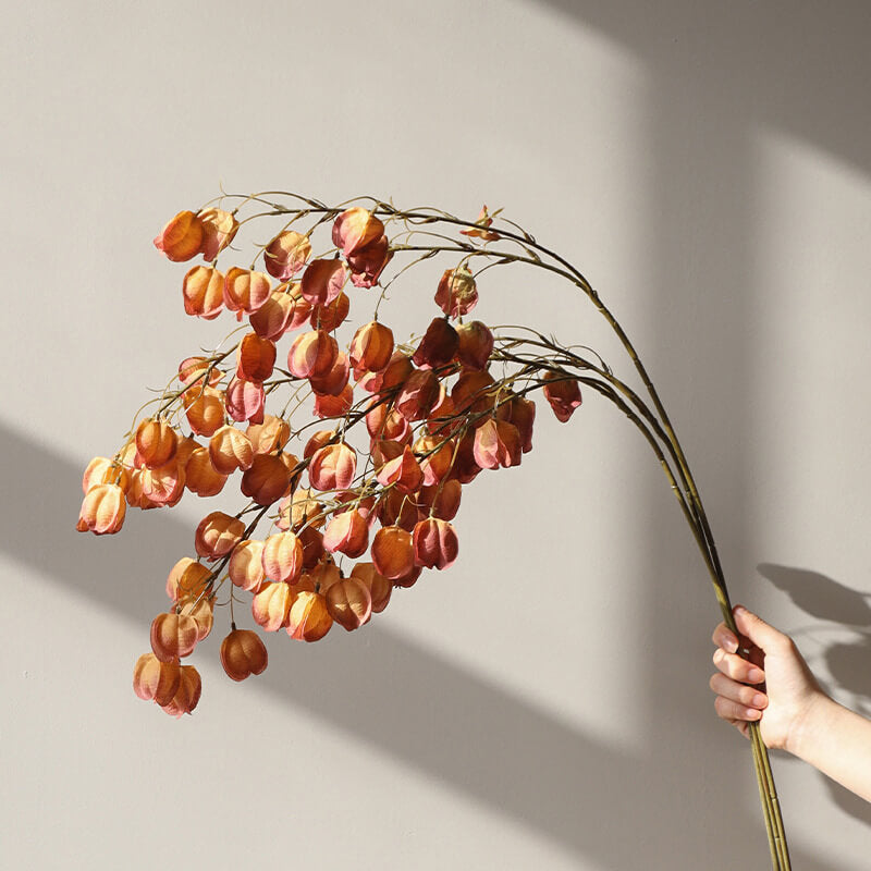 Lantern Fruit 12pcs - 38inch