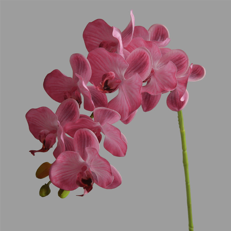 Artificial Flower 9-Head Phalaenopsis  Home Decoration Wedding Scenery Display  3D Printing