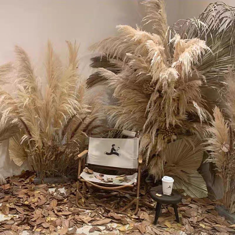 Large Reed Real Flower Dried Flower