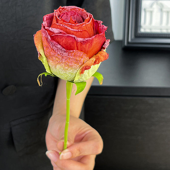 Imitation Dried Flower Baked Rose Artificial Flower Snow Rose