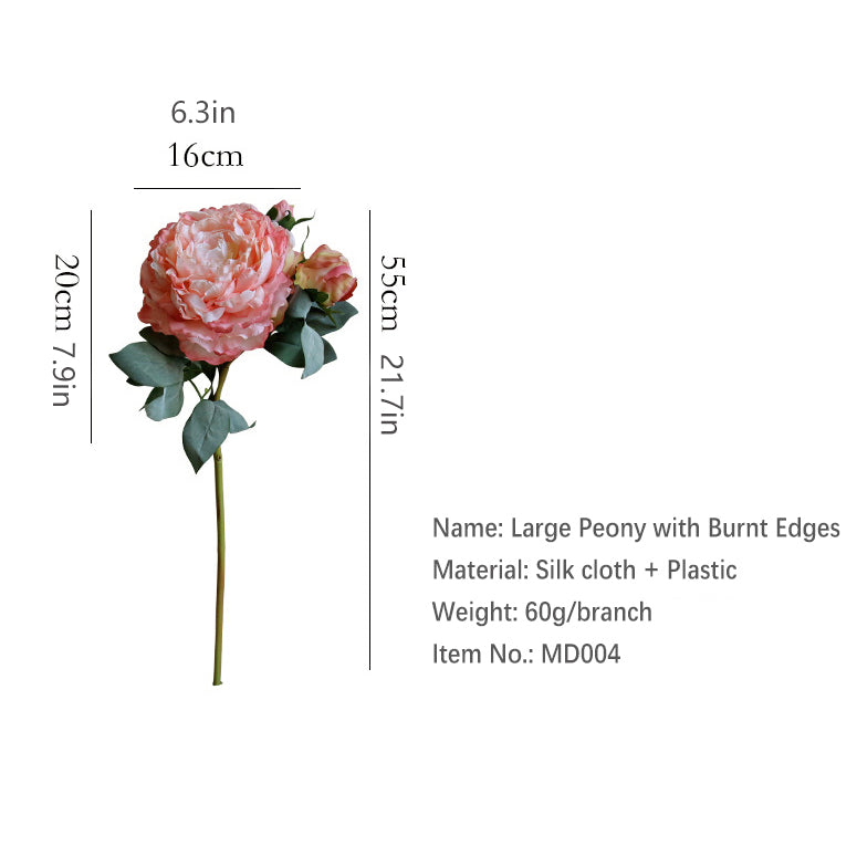 Burnt Edge Large Peony 12pcs - 21.7in
