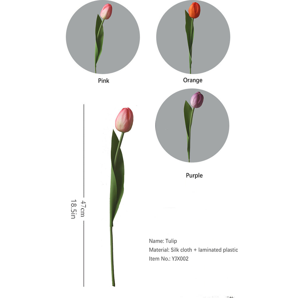 INS Tulip 12pcs - 18.5in