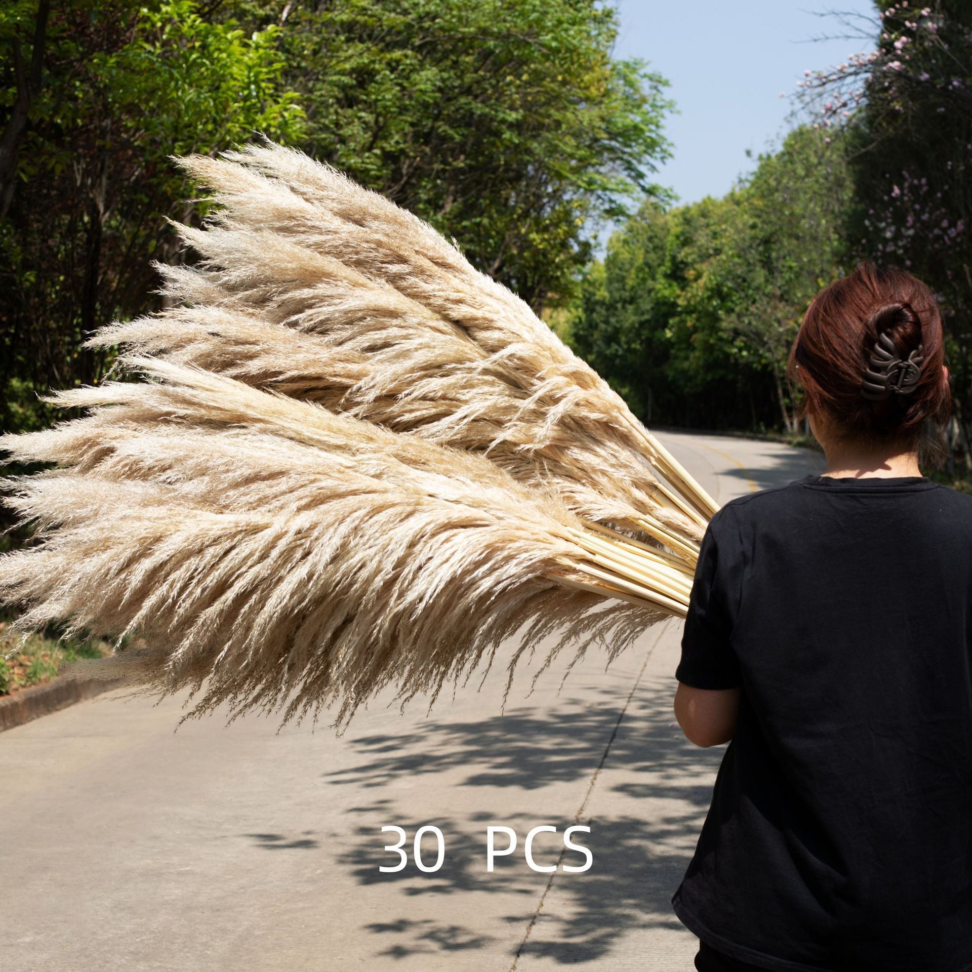 Large Reed Real Flower Dried Flower