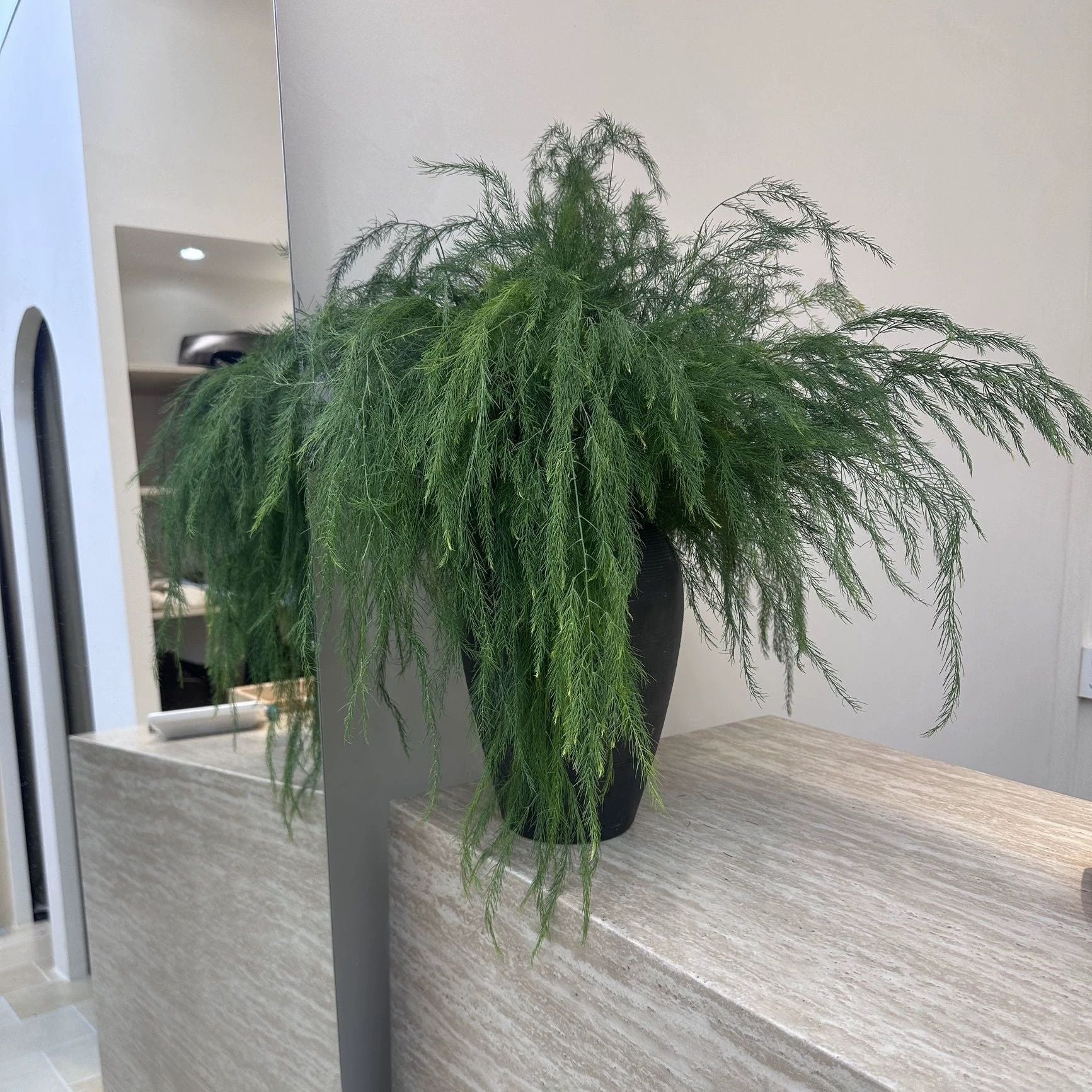 Forest Style Artificial Flowers Artificial Green Plants Alisma Dragon Beard Grass