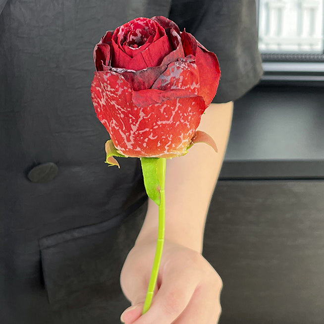 Imitation Dried Flower Baked Rose Artificial Flower Snow Rose