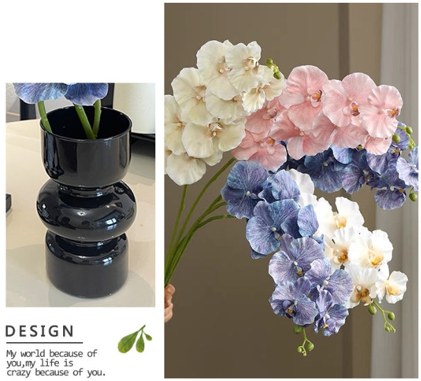 9 European-style Phalaenopsis Orchids