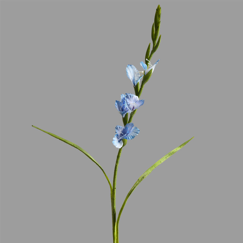 Single Branch Gladiolus 12pcs - 33.9in