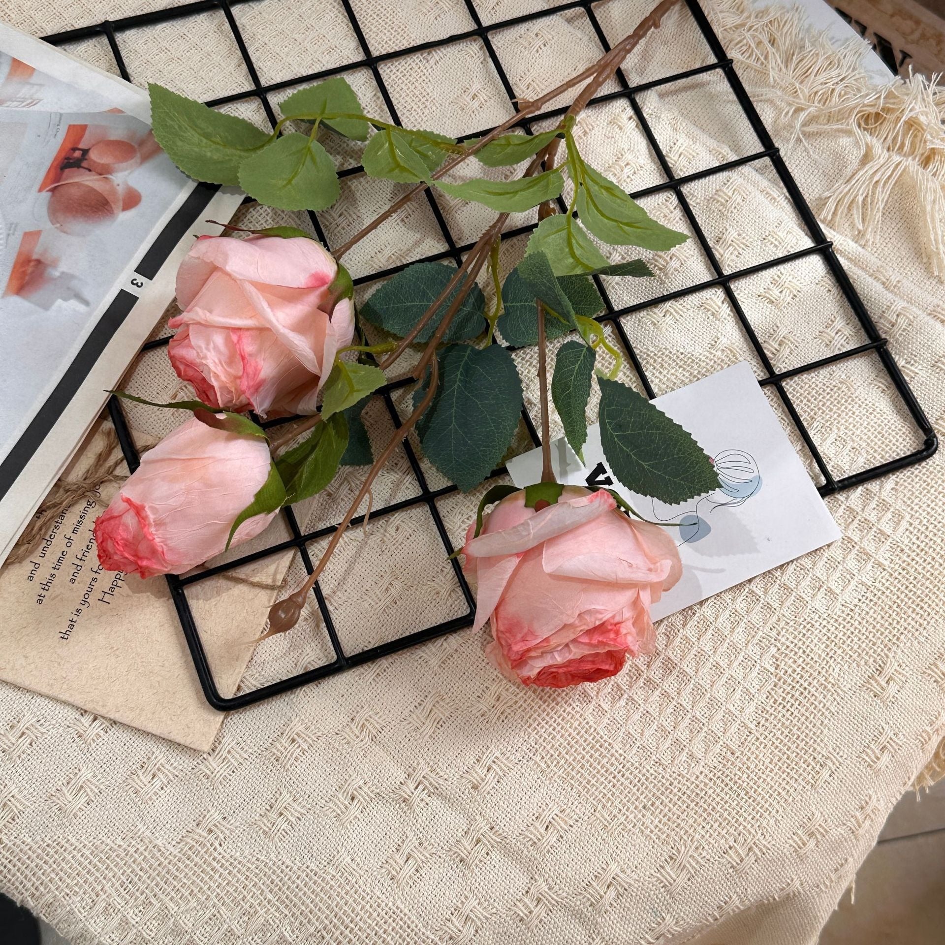 3 Manta Roses
