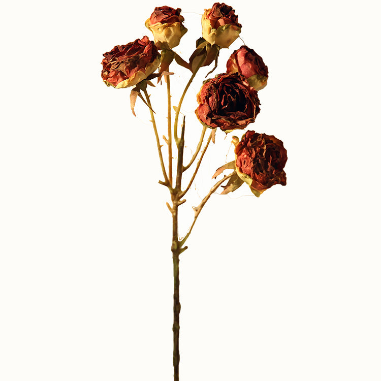 Six-Headed Burnt Edge Small Rose 12pcs - 20.8in