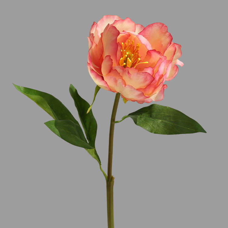 Single Branch Hibiscus Peony  12pcs - 17.7in