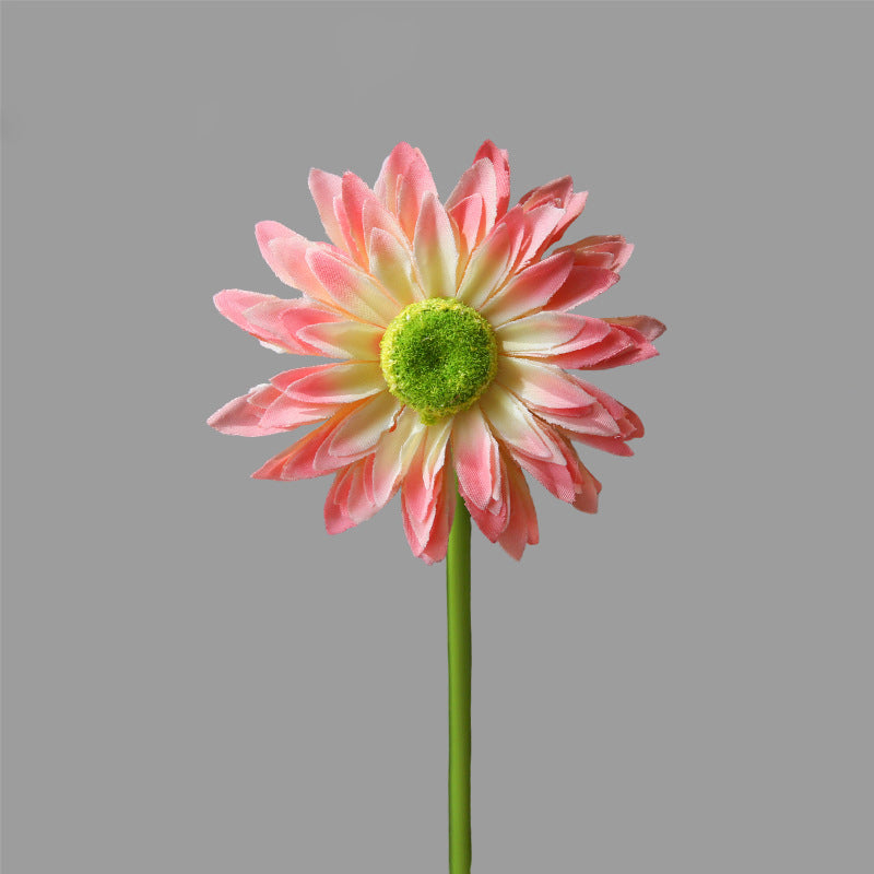 Single Branch Gerbera 12pcs - 16.5in