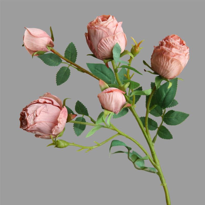 Five-Headed Burnt Edge Rose Vintage Artificial Flower Silk Flower Imitation Dried Flower