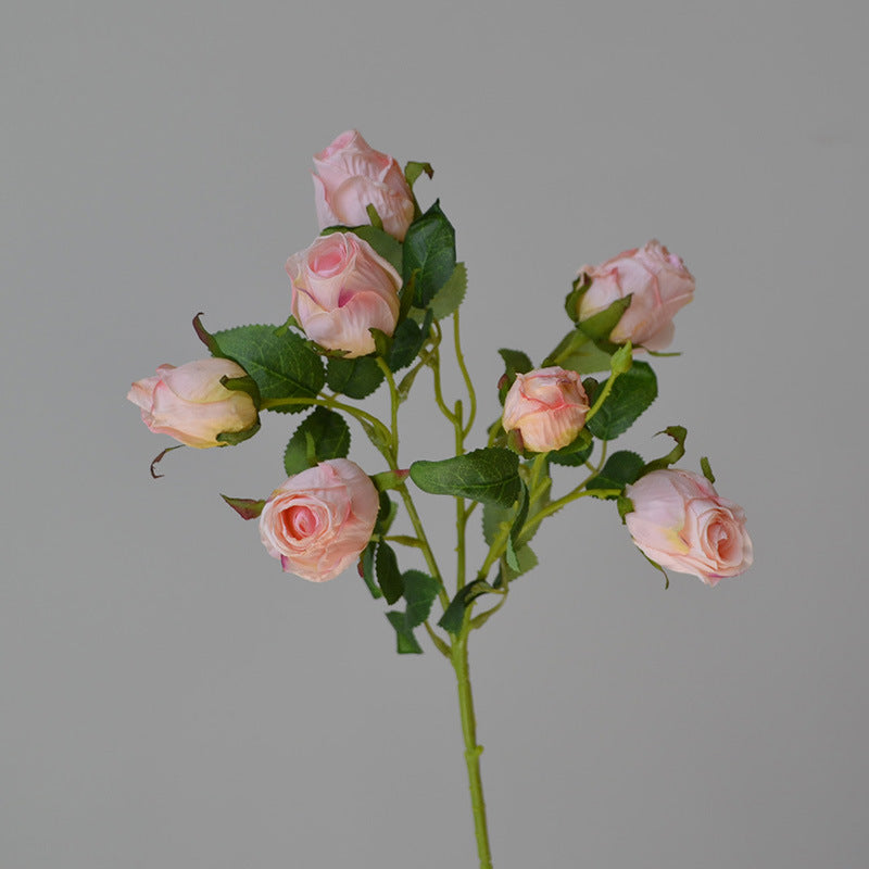 7 Vintage Roasted Edge Roses 12pcs - 19.7in