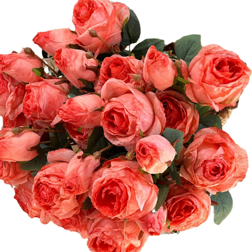 3 Manta Roses
