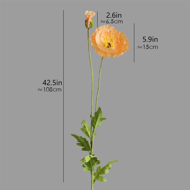 Two-Headed Poppy 12pcs - 42.5in