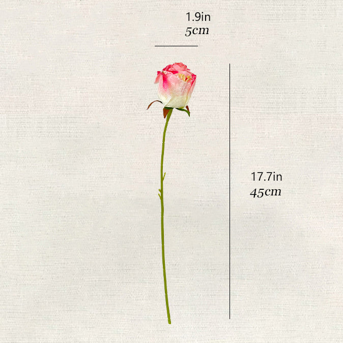 Imitation Dried Flower Snow Rose 12pcs - 17.7in