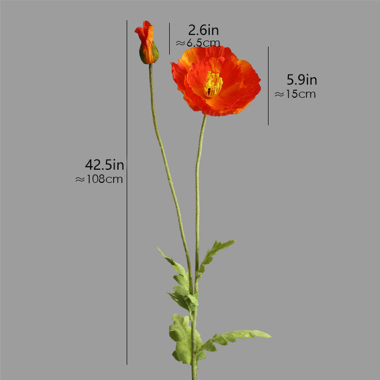 Two-Headed Poppy 12pcs - 42.5in