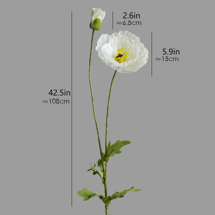 Two-Headed Poppy 12pcs - 42.5in