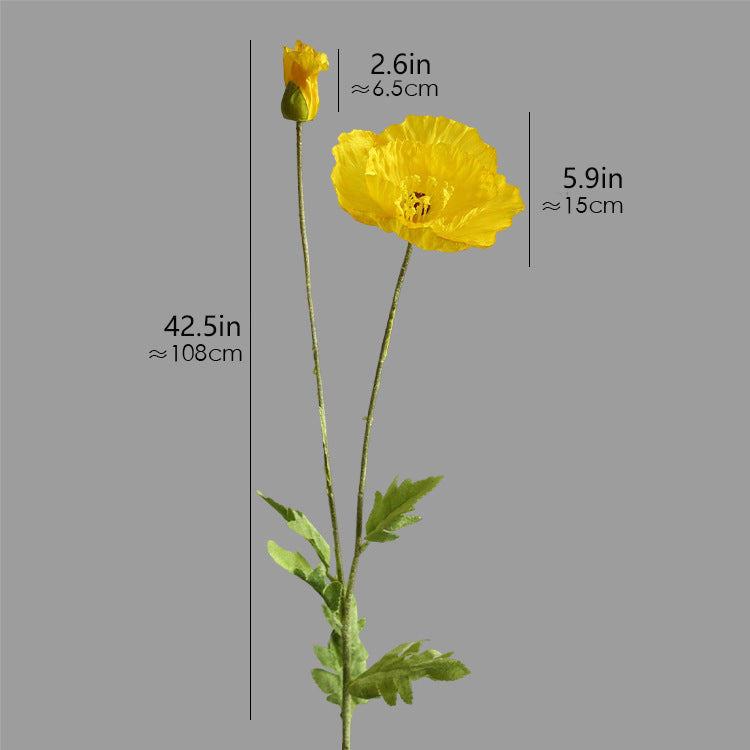 Two-Headed Poppy 12pcs - 42.5in