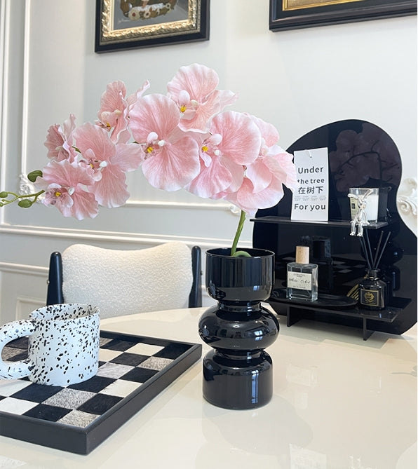9 European-style Phalaenopsis Orchids
