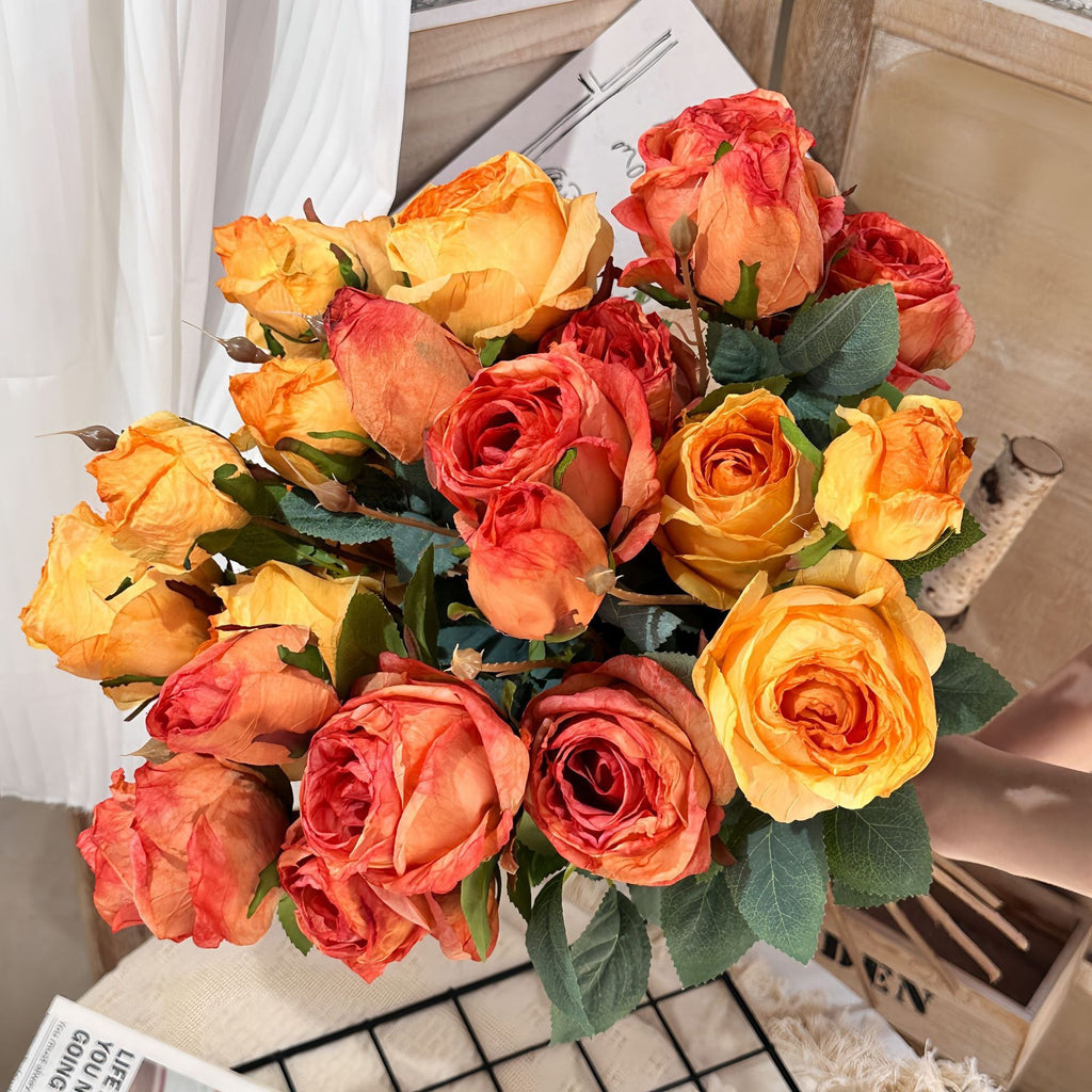 3 Manta Roses