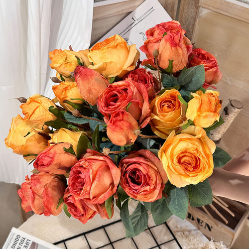 3 Manta Roses