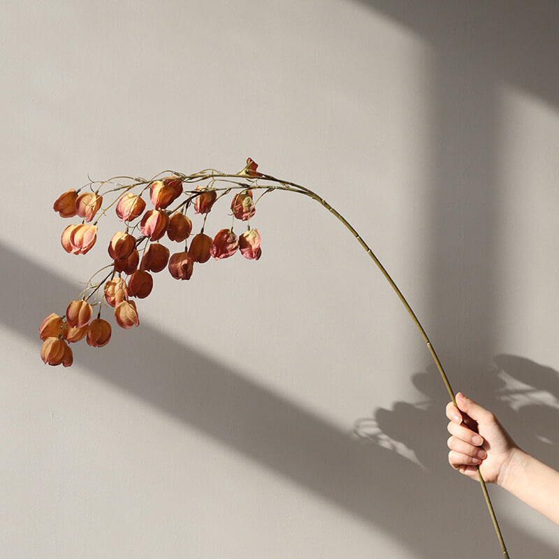 Lantern Fruit 12pcs - 38inch