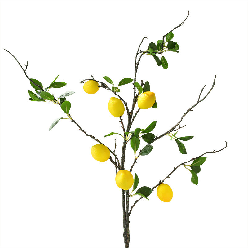 Simulated Large Branch Lemon